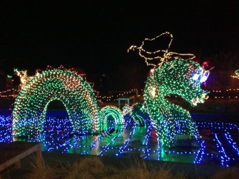 Fun Holiday Activities To See Over Winter Break