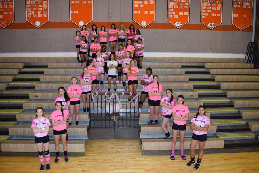 Members+of+varsity+and+JV+volleyball+pose+before+the+Dig+Pink+game.+