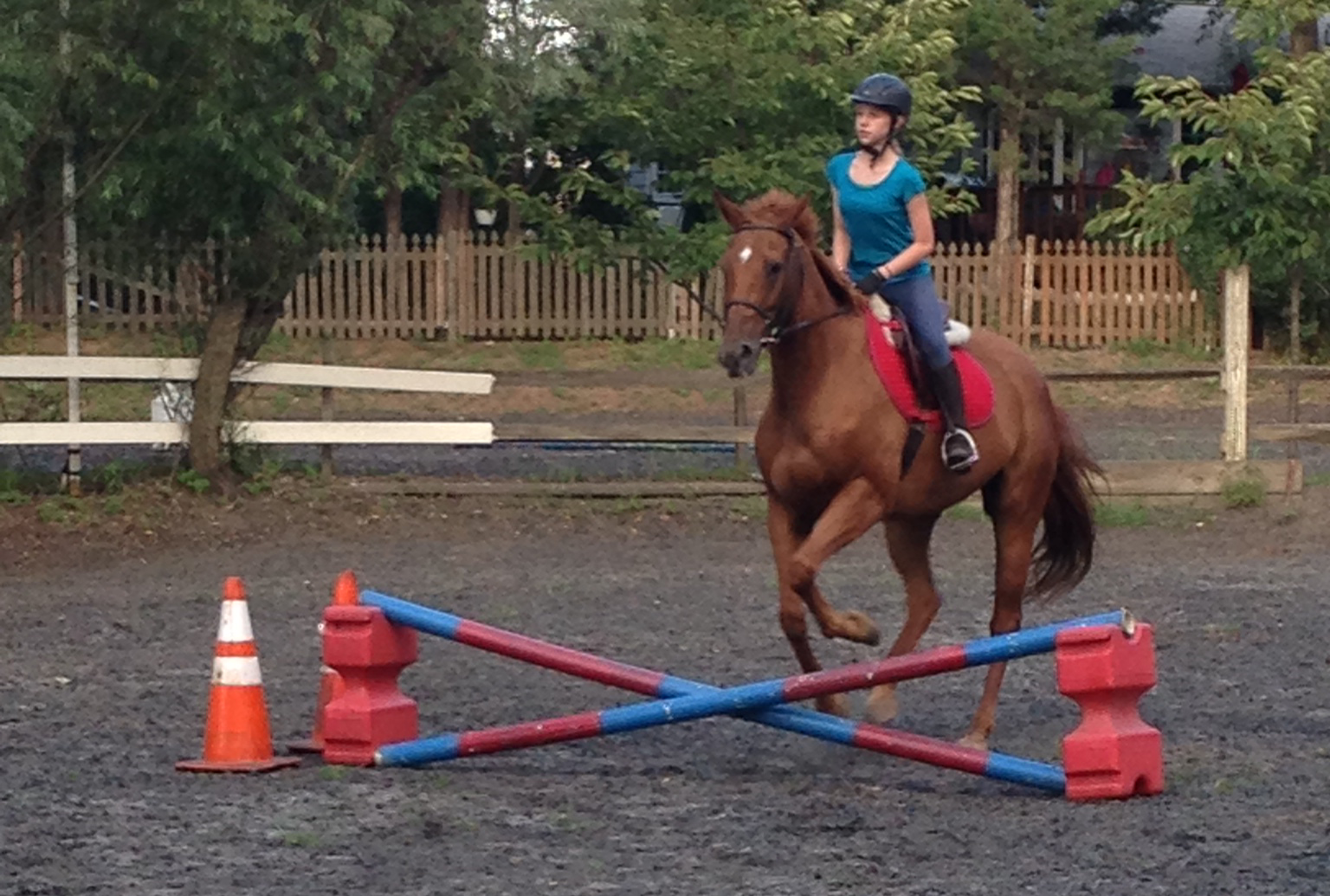 Sophmore Nasseem Najafi, co-founder of the new Equestrian Club at RHS, practices jumping with a horse at Camp Olympia’s horseback riding center in Rockville, MD. Both Najafi and sophomore co-founder Sarah Wagner practice riding at Camp Olympia.
Photo Courtesy of Nasseem Najafi