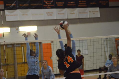 Girls Varsity Volleyball vs. Clarksburg HS Slideshow