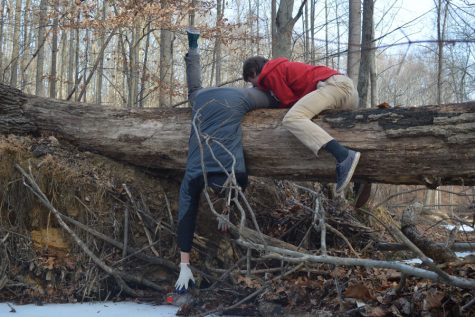 School Adopts, Cleans Up Section of Rock Creek