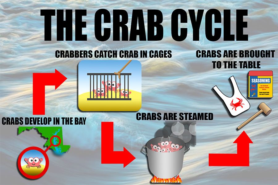 Inside Look: Maryland Blue Crab Season