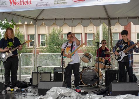 Aquarium Dives into Live Shows, Music Industry