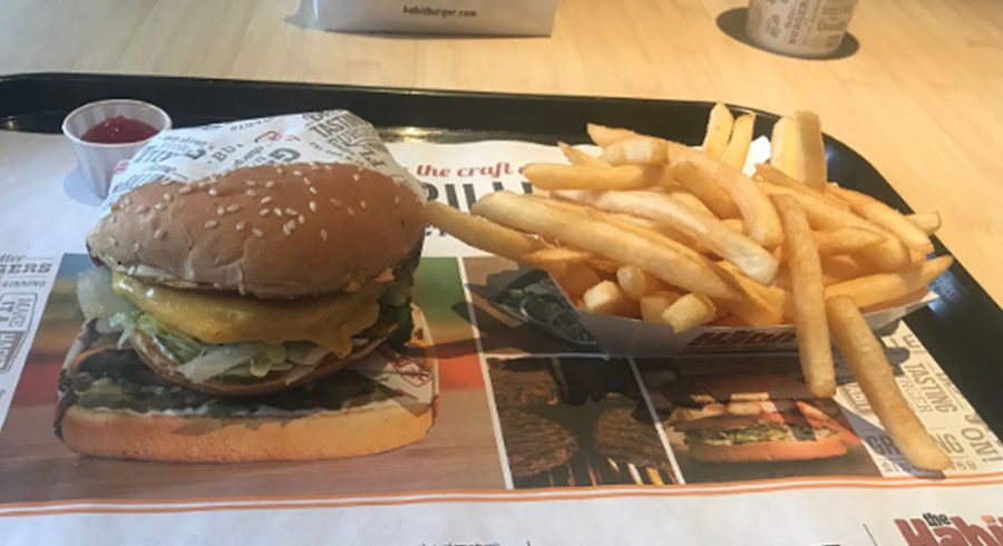 Students have been frequenting the Habit Burger Grill for the burgers and inexpensive prices, giving other burger spots on the Pike competition.  