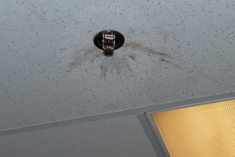Sprinkler Incident Floods Hallway