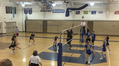 Co-ed Volleyball Swept by Warriors in First Semifinal Appearance in 20 Years