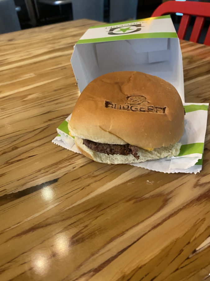 The cheeseburger at BurgerFi only featured was a patty, bun and cheese. We expected some toppings and condiments but received a bland burger. 